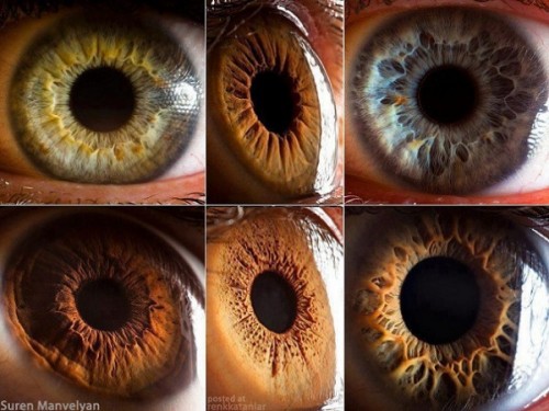 Extreme Close Ups of the Human Eye 600x450