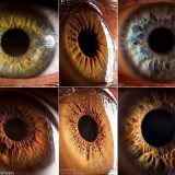 Extreme-Close-Ups-of-the-Human-Eye-600x450