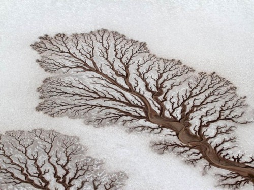 Fractal patterns in dried out desert rivers