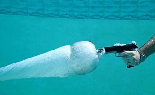 Gunshot-Under-Water-600x368.jpg