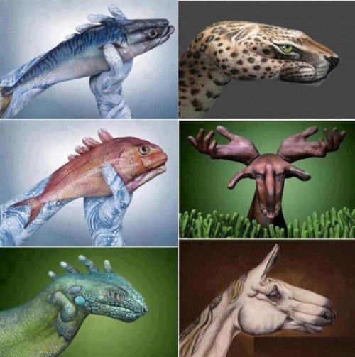 Hands painted to look like real animals 600x604