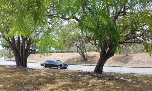 COSTA-RICA-COUNTRY-MERCEDES-300D-LANG-LIMUSINA-RIDES.jpg